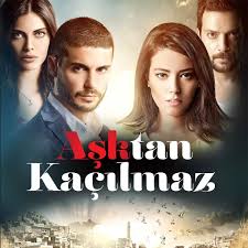 مشاهدة مسلسل لا مفر من الحب مترجم