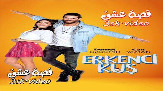 مشاهدة مسلسل طائر الصباح مترجم